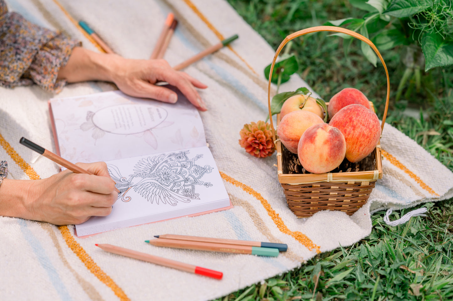 Ground & Grow Journal